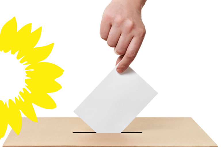 Stellungnahme der Grünen zum Bürgerbegehren